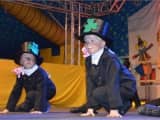 Prinzenproklamation 201600046