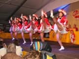 Schoenau_2011_221