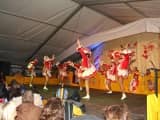 Schoenau_2011_222