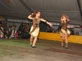 Schoenau_2011_244