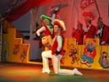 Karneval_2014_0321