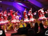 Prunksitzung 2015 (61)