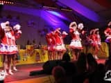 Prunksitzung 2015 (80)