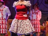 Prunksitzung 2015 (84)