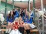 Rathaussturm 2014