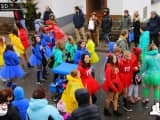 Rosenmontag 201900040