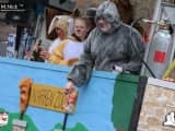 Rosenmontag 201900061
