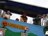 Rosenmontag 201900066