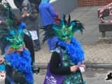 Rosenmontagszug 2015 (120)