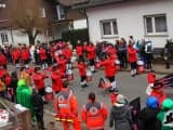 Rosenmontagszug 2015 (13)