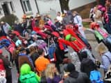 Rosenmontagszug 2015 (169)