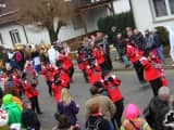 Rosenmontagszug 2015 (252)
