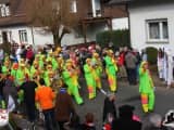 Rosenmontagszug 2015 (358)