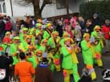 Rosenmontagszug 2015 (360)