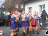 Rosenmontagszug 2015 (381)