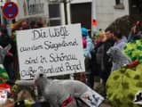 Rosenmontagszug 2015 (51)