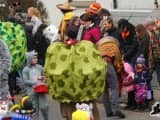 Rosenmontagszug 2015 (52)